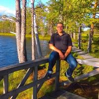 Отзыв от Антон - DTV виза